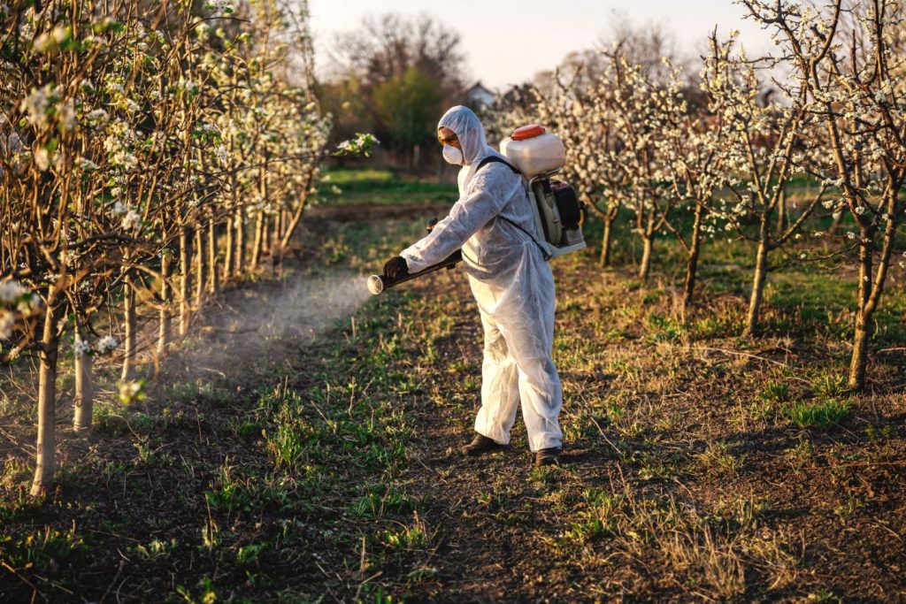 Hémopathies malignes provoquées par les pesticides