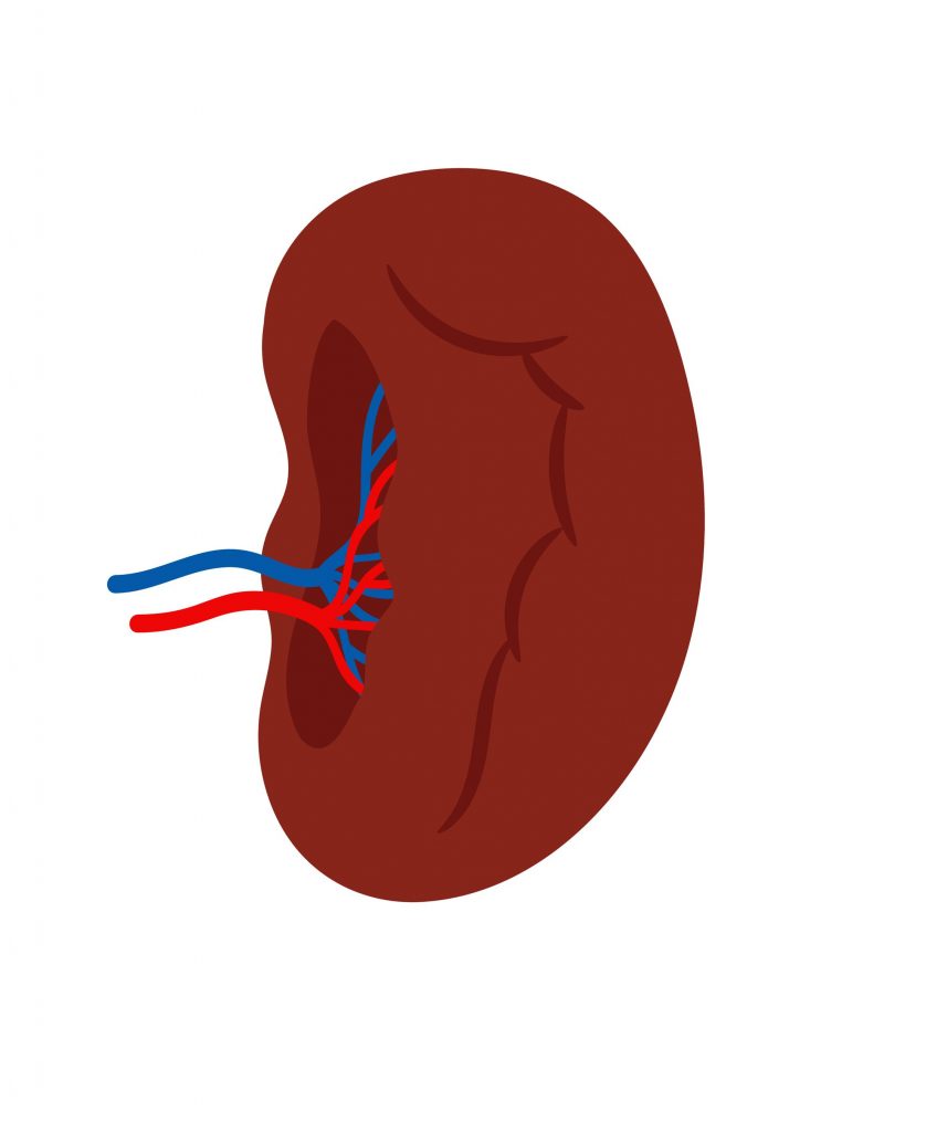 Splénectomie